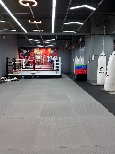 Martial arts floor - mats, 20mm
